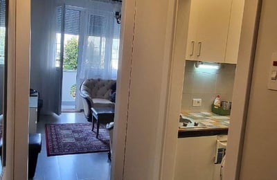 Alquiler de un acogedor apartamento tipo estudio, 24 m², Vračar, Belgrado, Serbia
